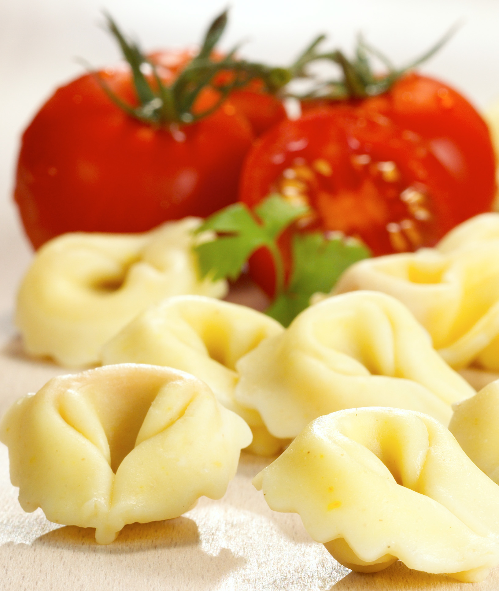 Bon Pastaio Tortellini CarNo vegan 9 Kg Bon Pastaio Tortellini CarNo vegan 9 Kg