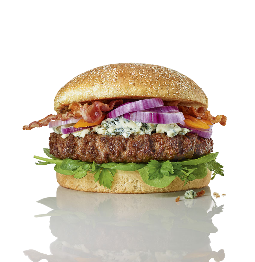 Salomon Homestyle Burger 27x200g