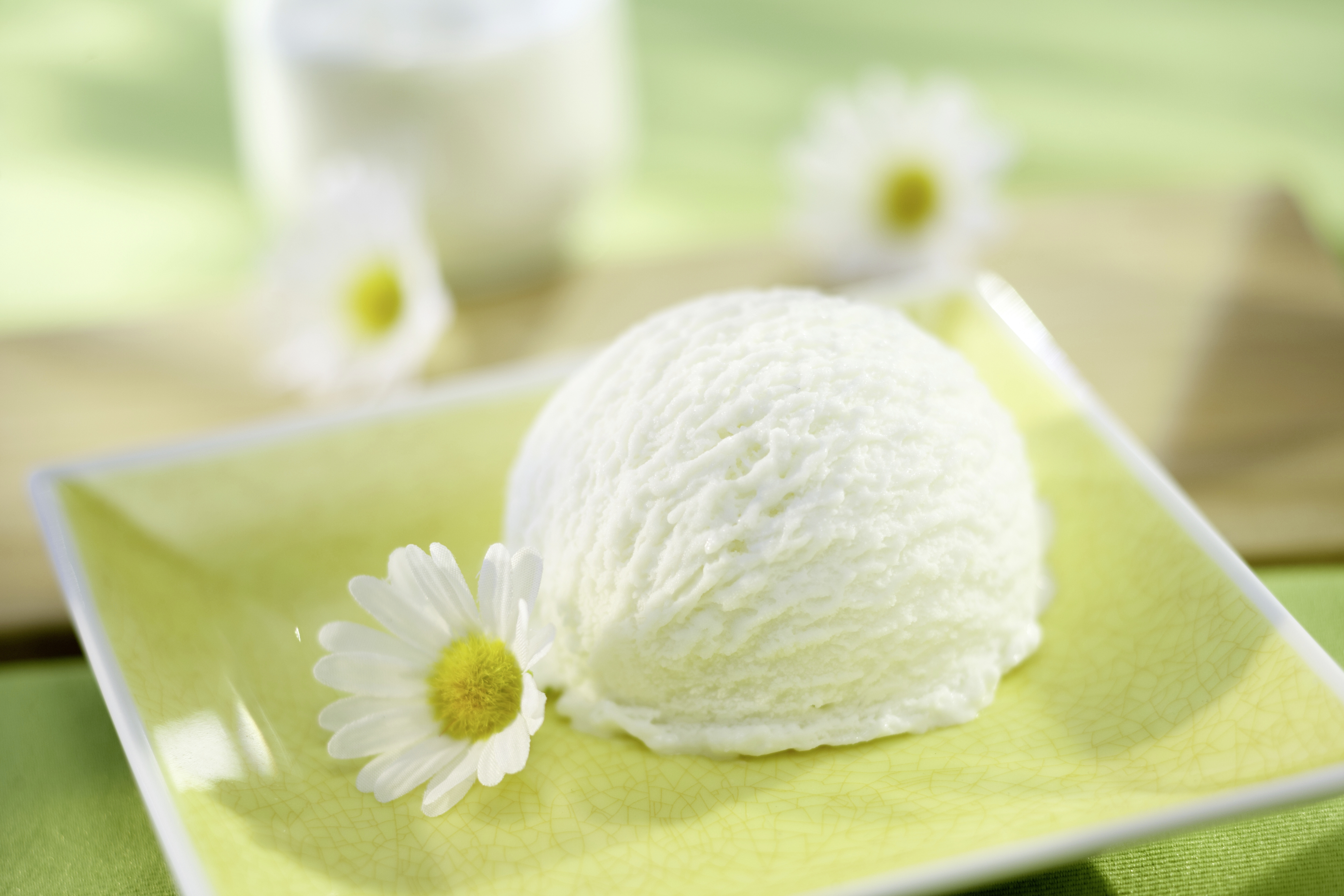 Wanne Joghurt Carte D'or 5L