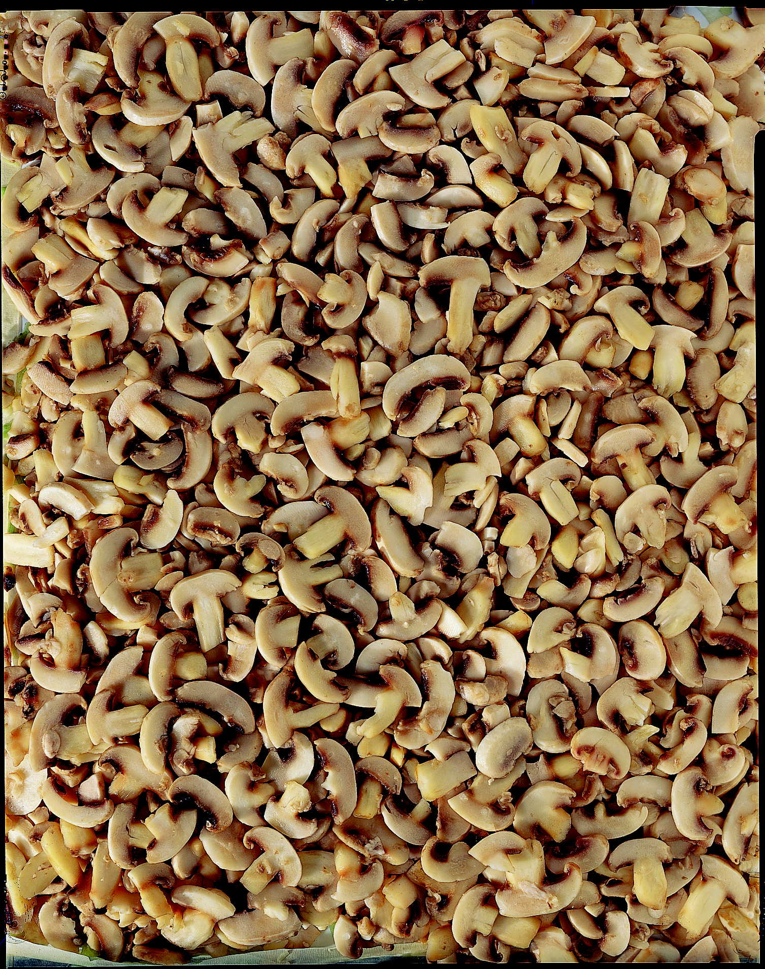 Champignons geschnitten