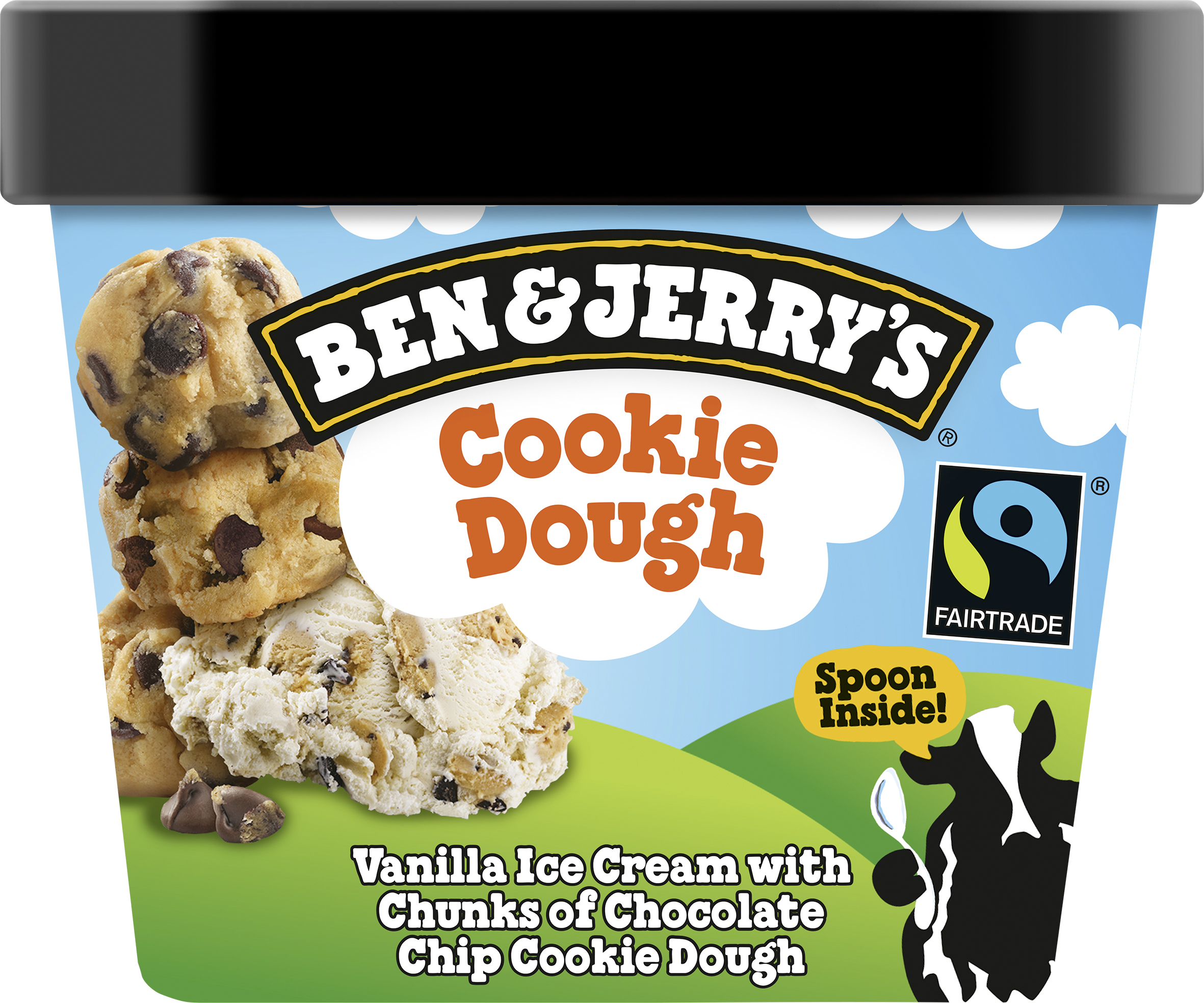 B&J Cookie Dough 12x100ml