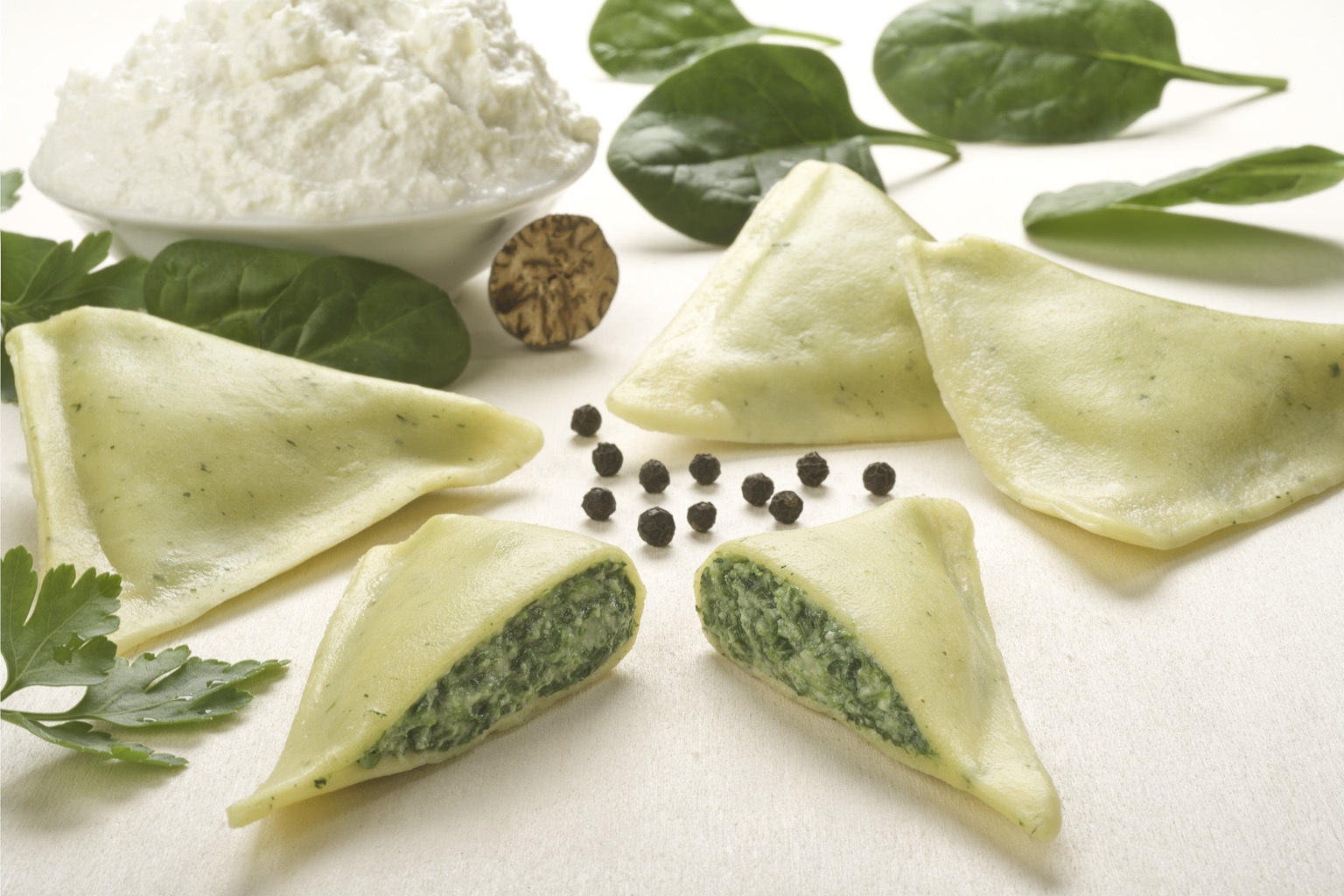 Bon Pastaio Triangolo Büffel-Ricotta u Spinat 3Kg Bon Pastaio Triangolo Büffel-Ricotta u Spinat 3Kg