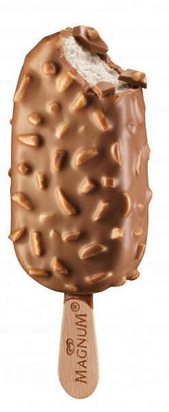 Magnum Mandel 20x110ml