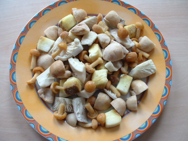 Feine Pilzmischung 1Kg