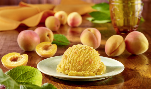 Wanne Sorbet Aprikose Carte D&#039;or 2x2,4L