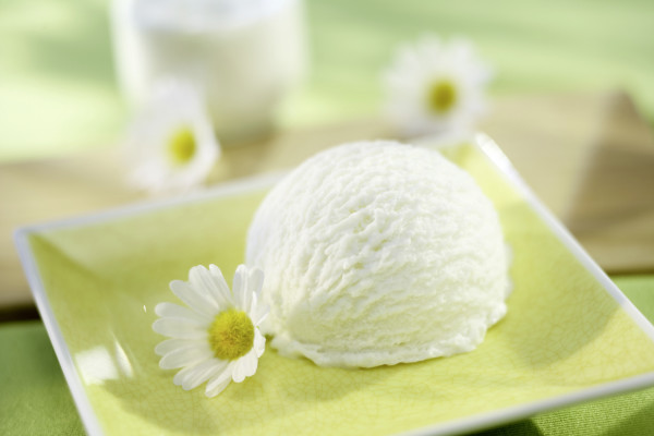 Wanne Joghurt Carte D'or 5L